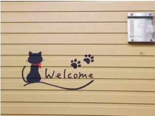 猫の外壁