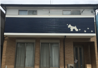 犬の外壁