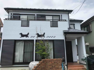 犬の外壁02