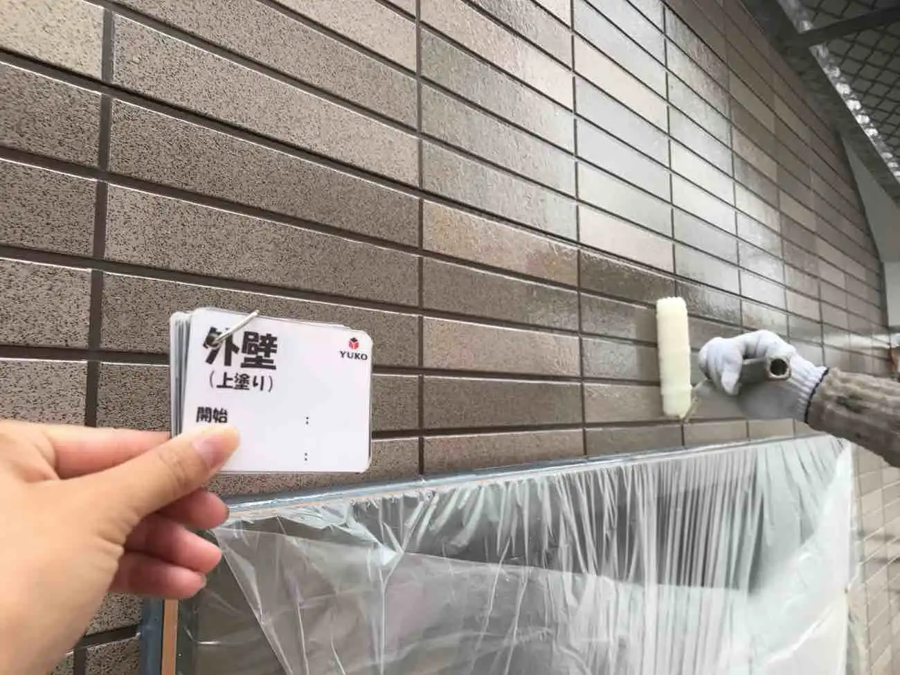 艶あり 菊水 ロイヤルセラクリヤー 蒼