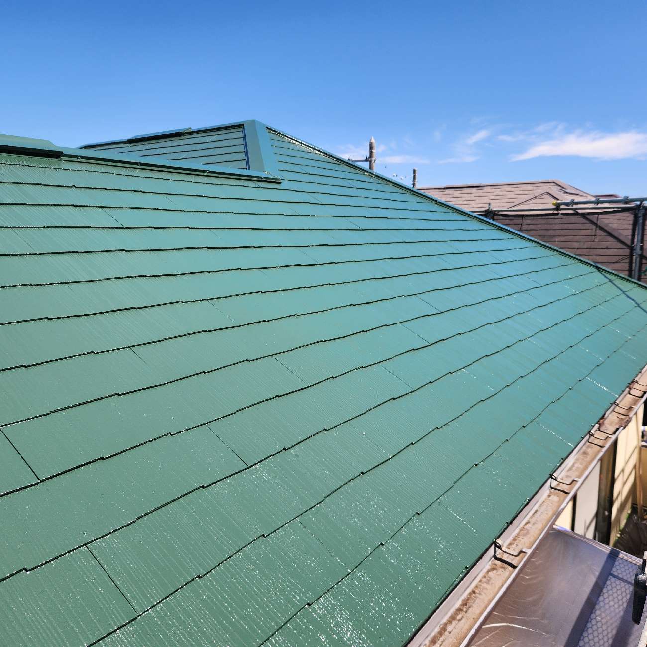 おしゃれな家になる！緑の屋根を更に良くするコツ〔事例15選付き〕