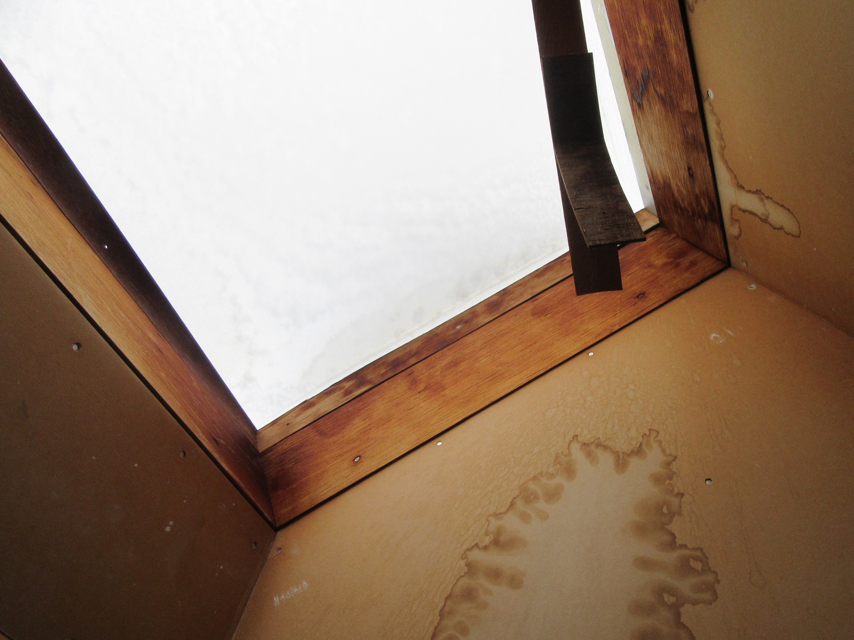 【初心者向け】天窓からの雨漏りの症状別原因と補修方法・費用相場