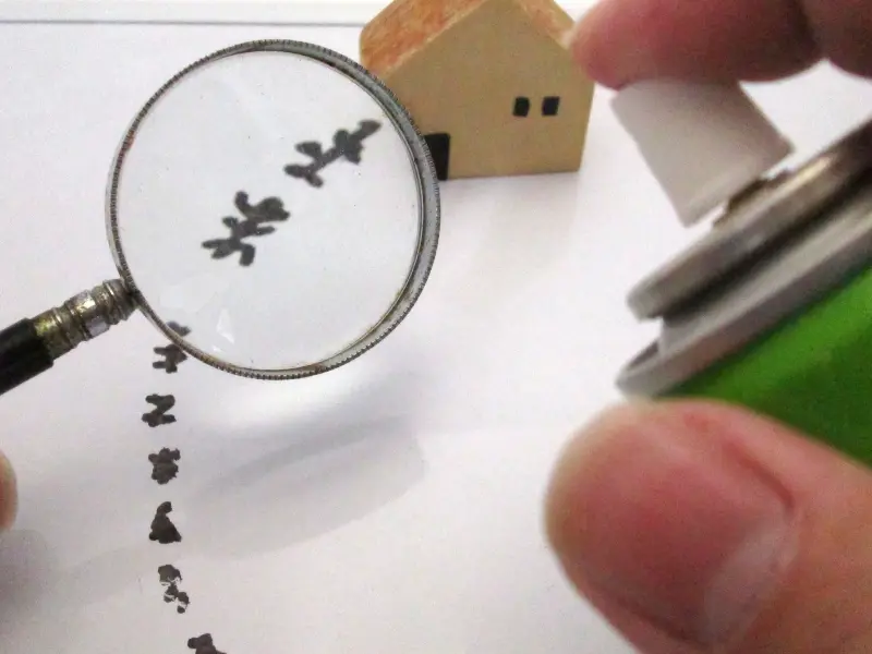 自分で簡単に出来る Diyシロアリ駆除の効果的な方法 手順を伝授