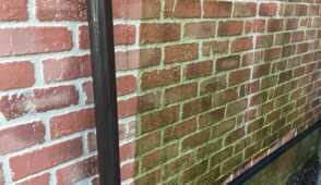 サイディング　コケ