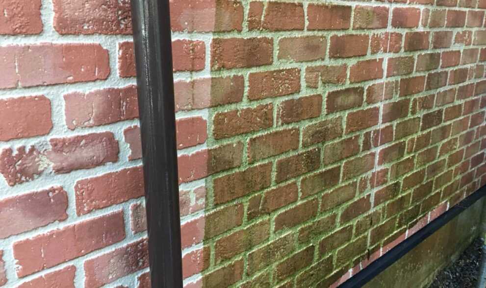 サイディング コケ